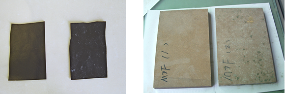 圖片2.png 圖片2.png